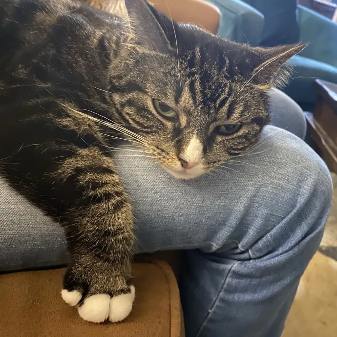 Patienence Love  Care For Your Baby