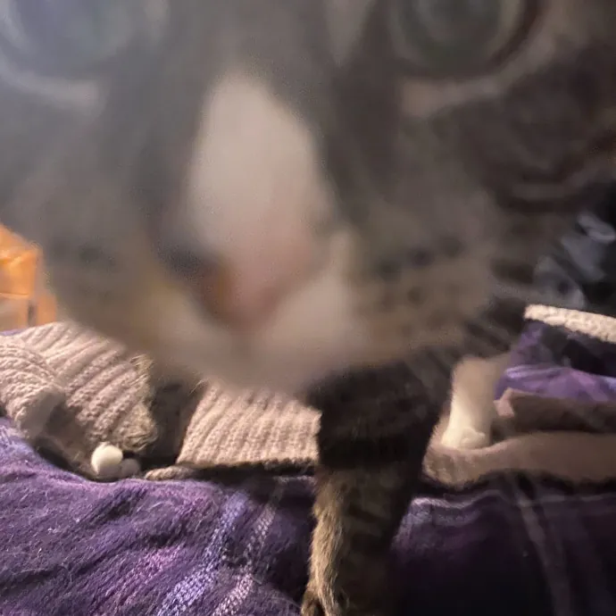 Patienence Love  Care For Your Baby