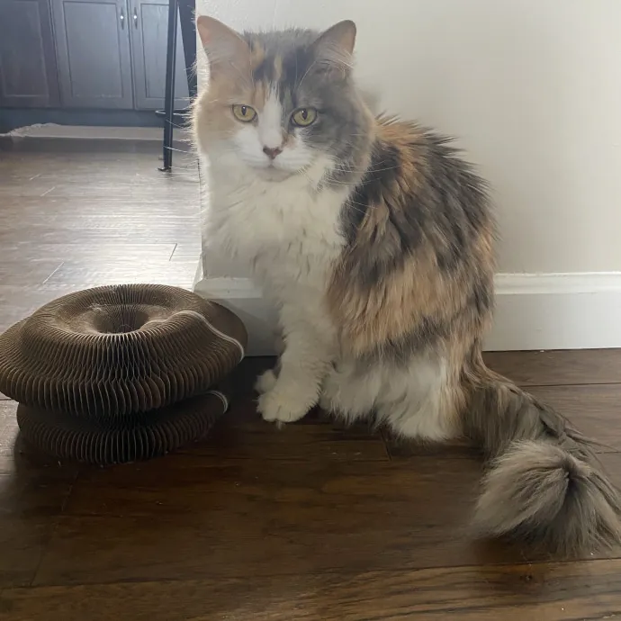 Patienence Love  Care For Your Baby