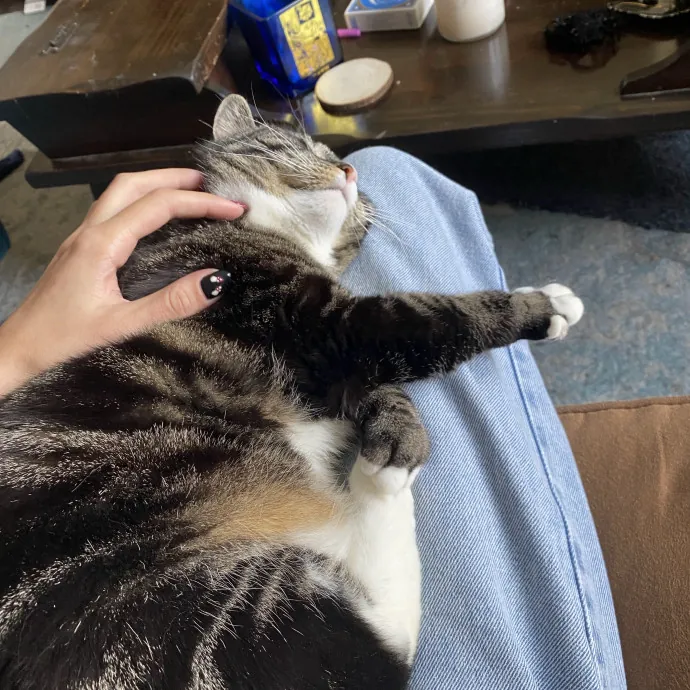 Patienence Love  Care For Your Baby