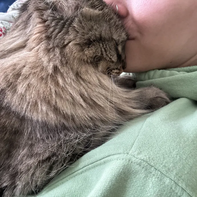 Patienence Love  Care For Your Baby