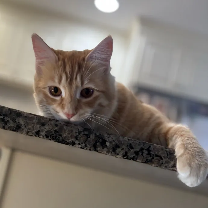 Patienence Love  Care For Your Baby