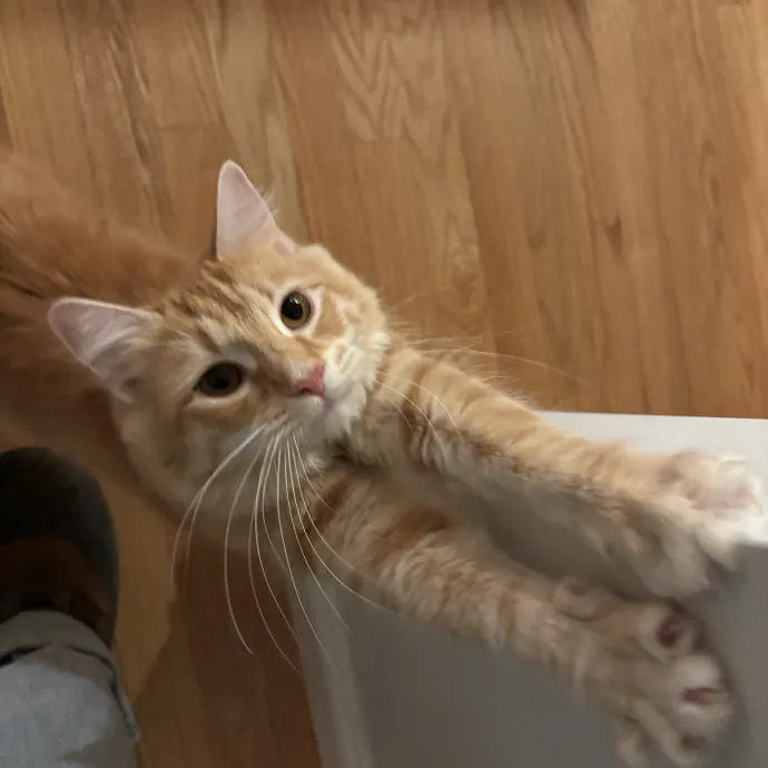 Patienence Love  Care For Your Baby