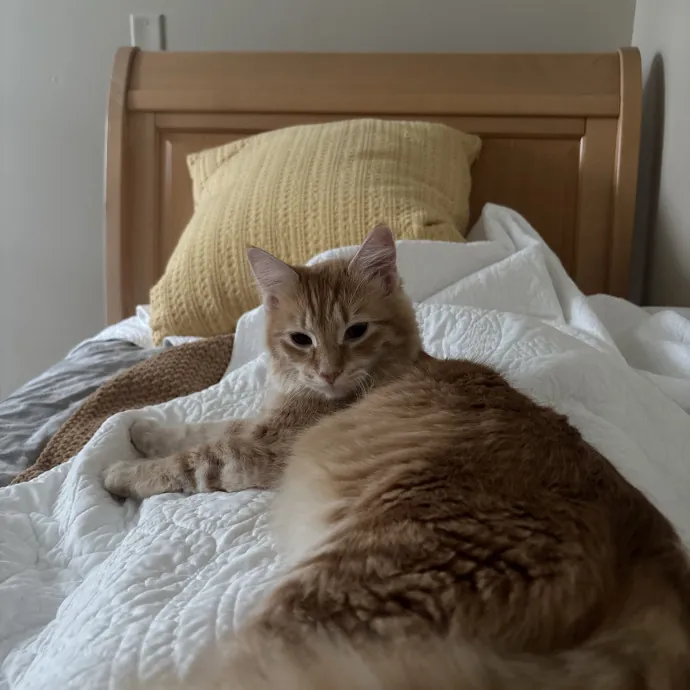 Patienence Love  Care For Your Baby