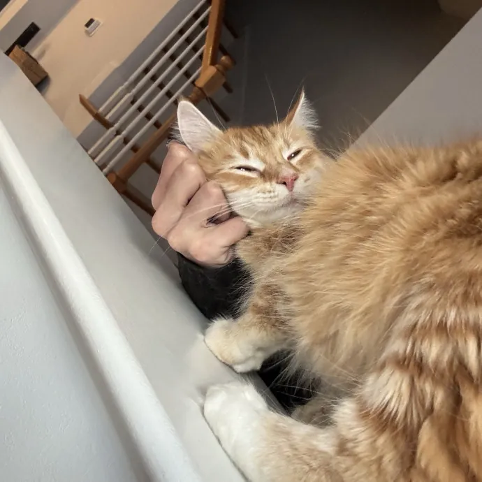 Patienence Love  Care For Your Baby