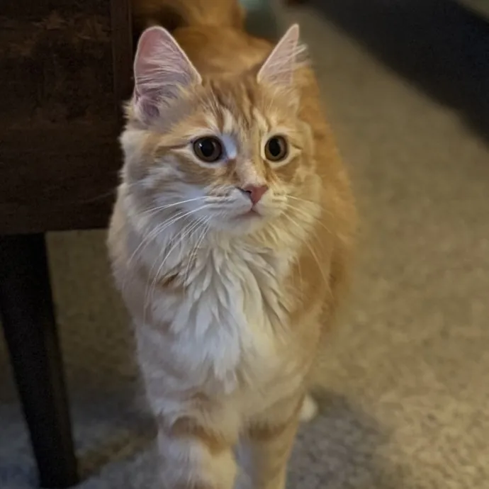 Patienence Love  Care For Your Baby