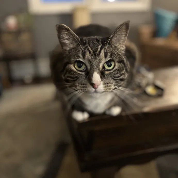 Patienence Love  Care For Your Baby