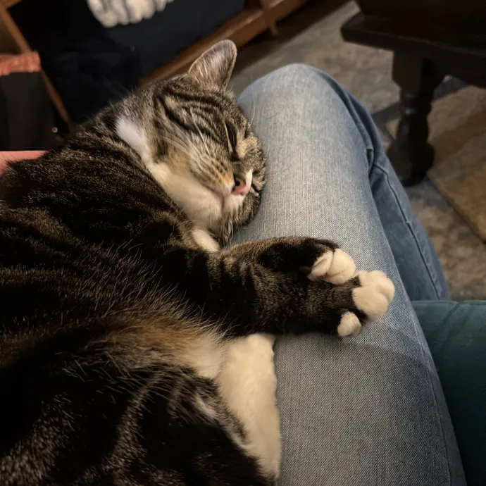 Patienence Love  Care For Your Baby