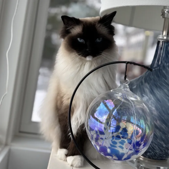 Patienence Love  Care For Your Baby