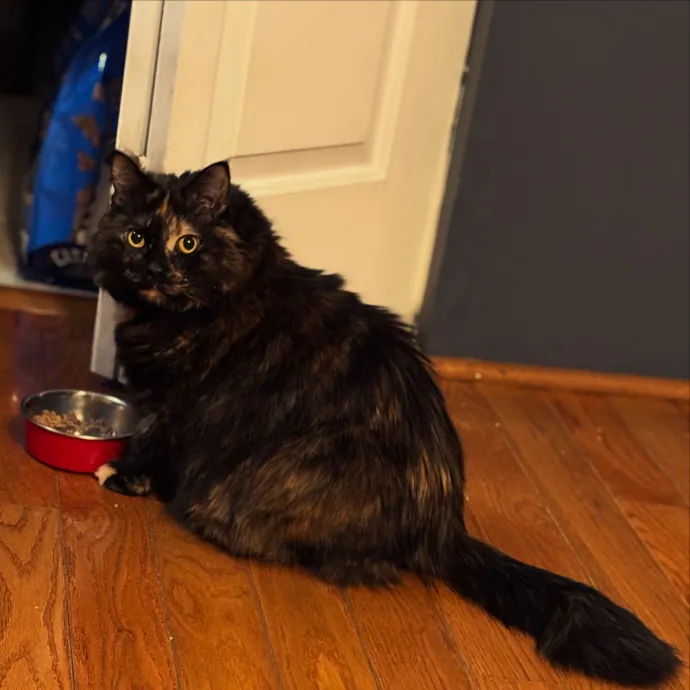 Patienence Love  Care For Your Baby