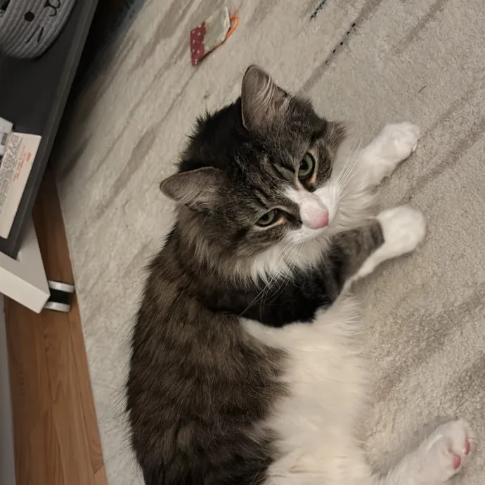 Patienence Love  Care For Your Baby