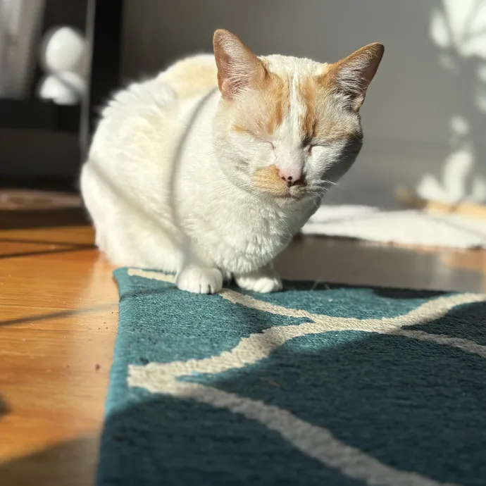 Patienence Love  Care For Your Baby