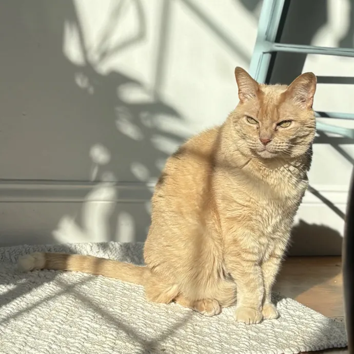 Patienence Love  Care For Your Baby