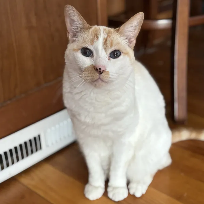 Patienence Love  Care For Your Baby