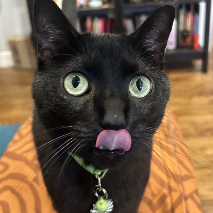 Care For Meow And Later