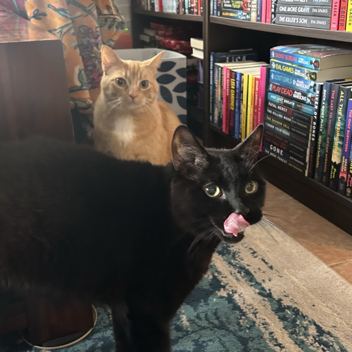 Care For Meow And Later photo 3