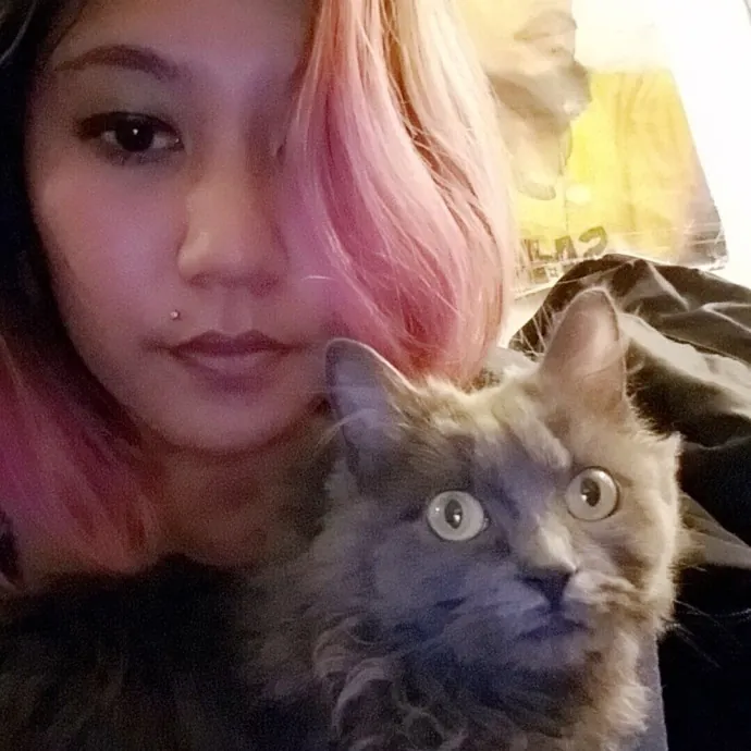 Purrr-Fect Care While You're Away