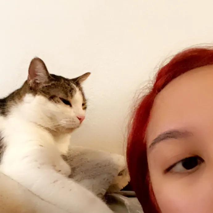 Purrr-Fect Care While You're Away