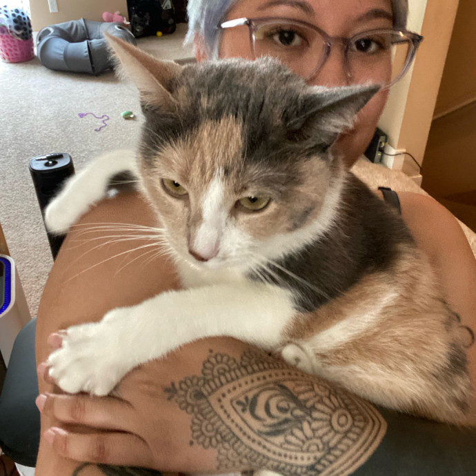 Purrr-Fect Care While You're Away