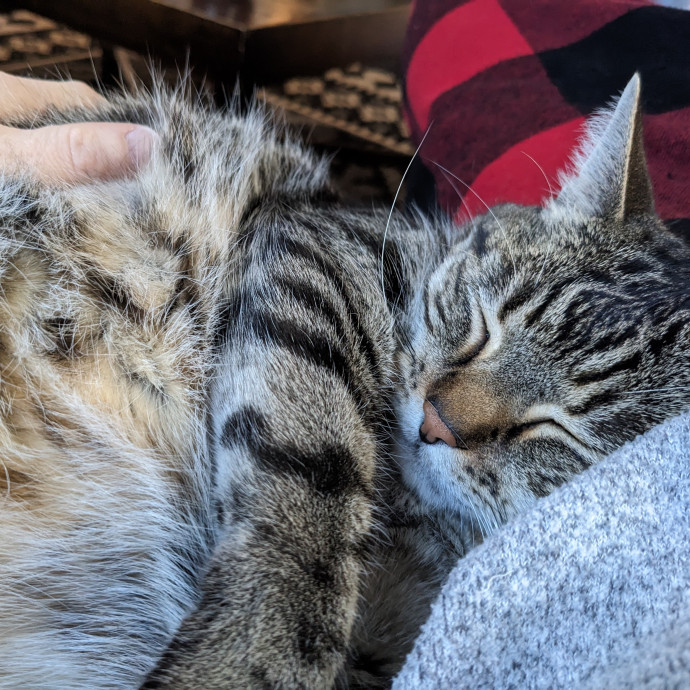 Atx Purr Pal