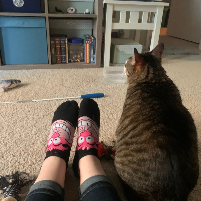 Jennifer's Purrfect Cat Sitting East Bay