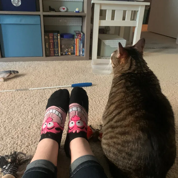 Jennifer's Purrfect Cat Sitting East Bay