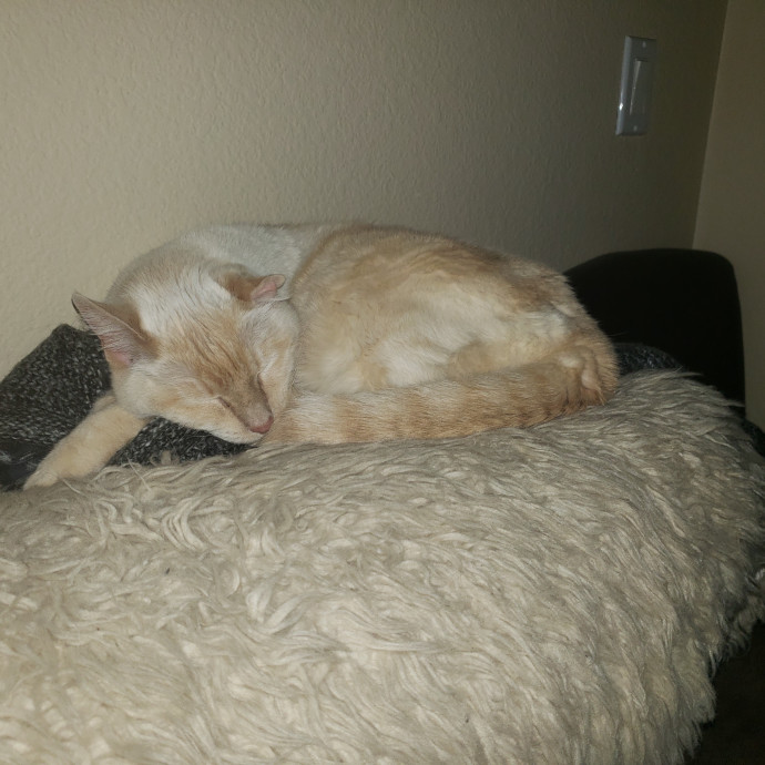 Caring Sitter Of Denver Area
