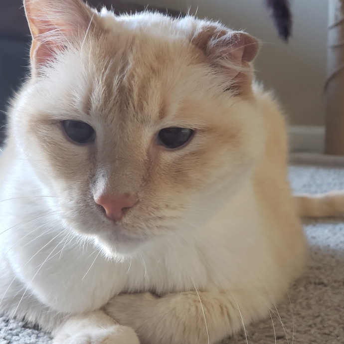 Caring Sitter Of Denver Area
