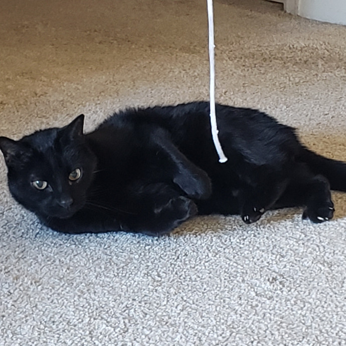 Caring Sitter Of Denver Area