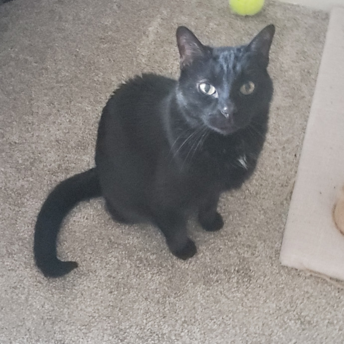 Caring Sitter Of Denver Area