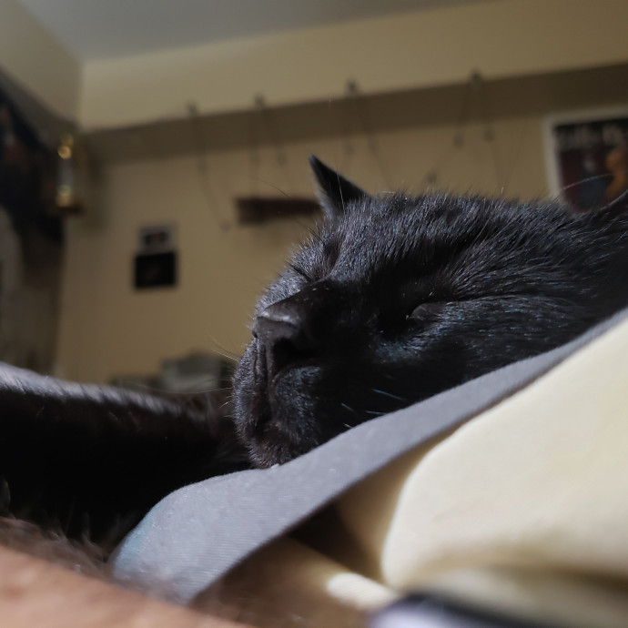 Caring Sitter Of Denver Area