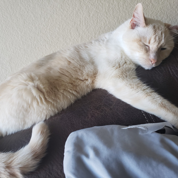 Caring Sitter Of Denver Area