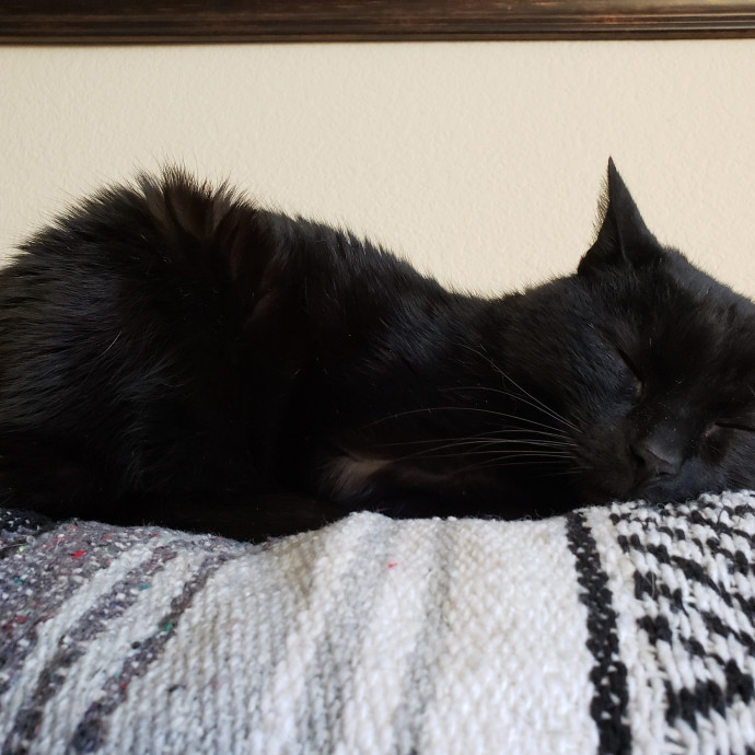 Caring Sitter Of Denver Area