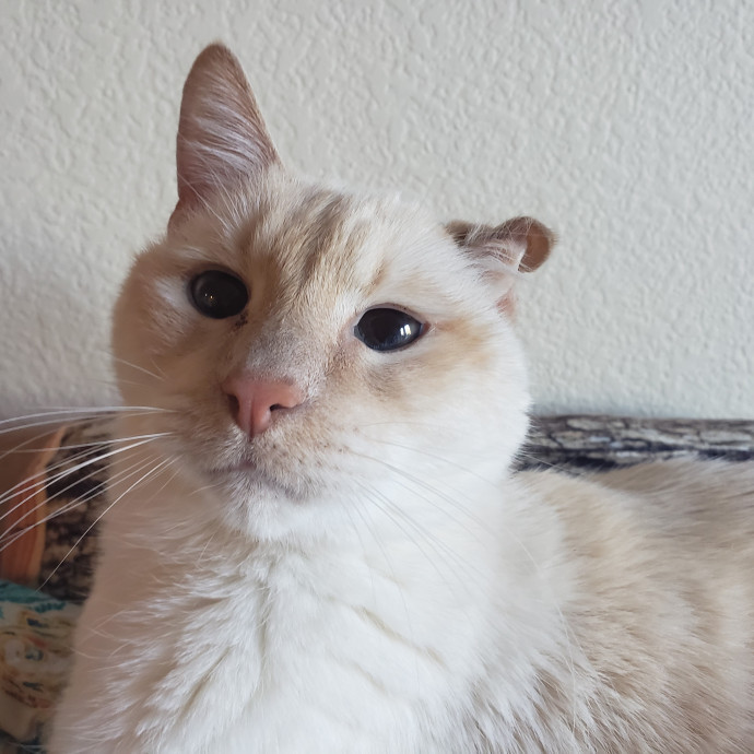 Caring Sitter Of Denver Area