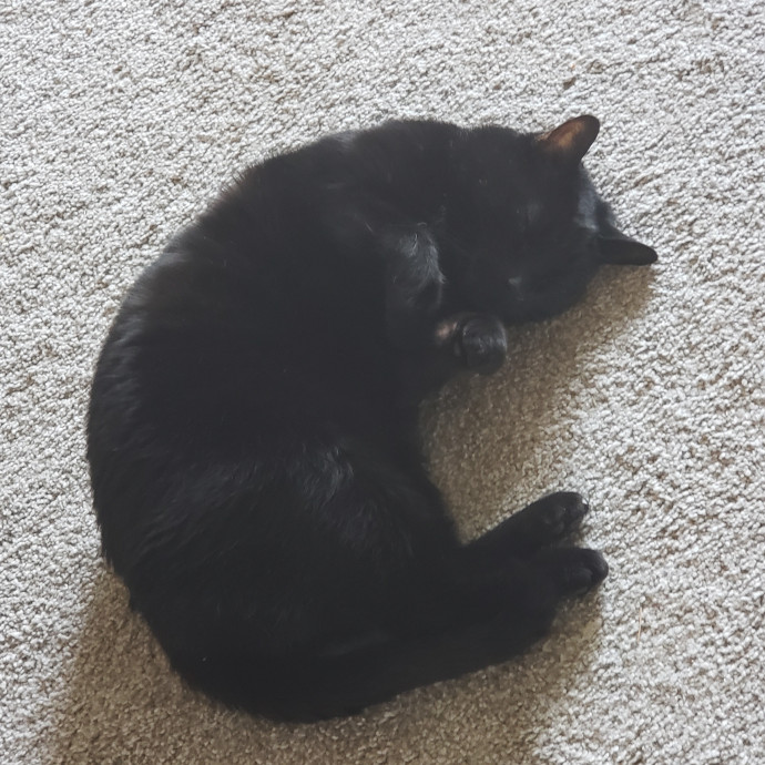 Caring Sitter Of Denver Area