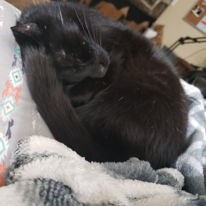 Caring Sitter Of Denver Area