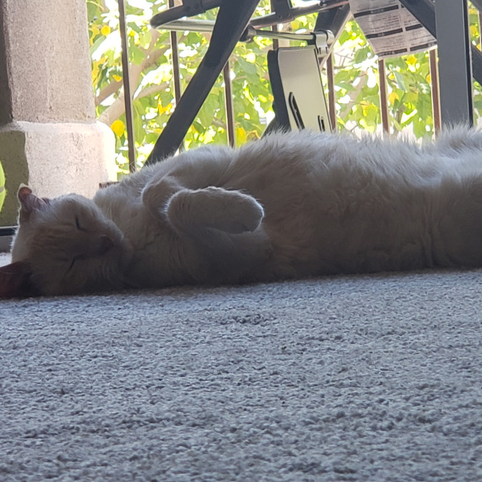 Caring Sitter Of Denver Area