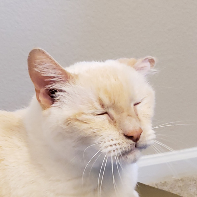 Caring Sitter Of Denver Area