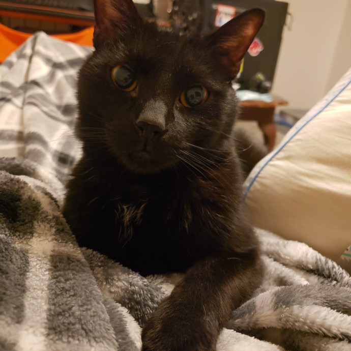 Caring Sitter Of Denver Area