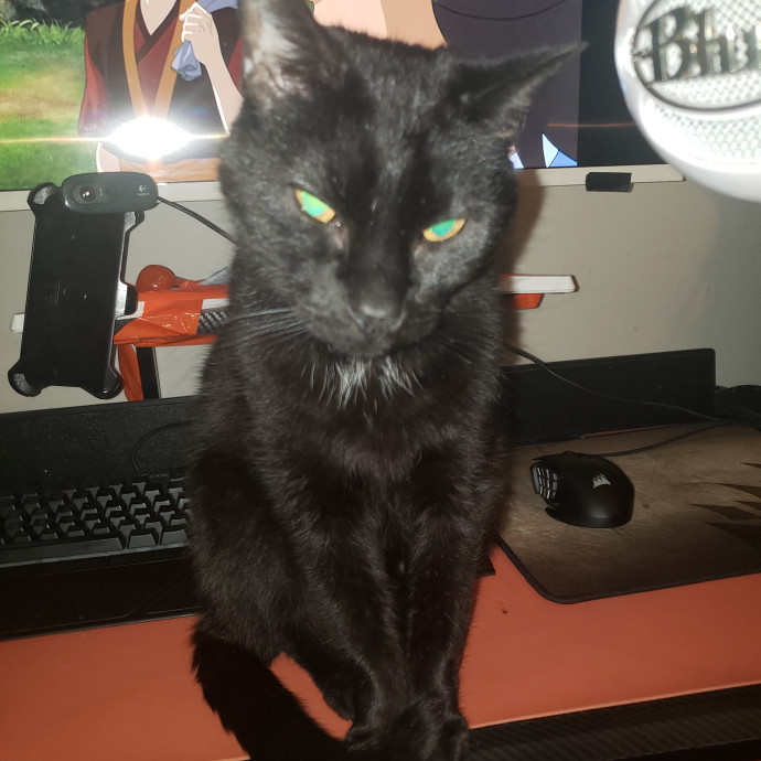 Caring Sitter Of Denver Area photo 3