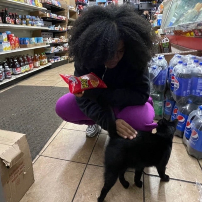 Cat Lover