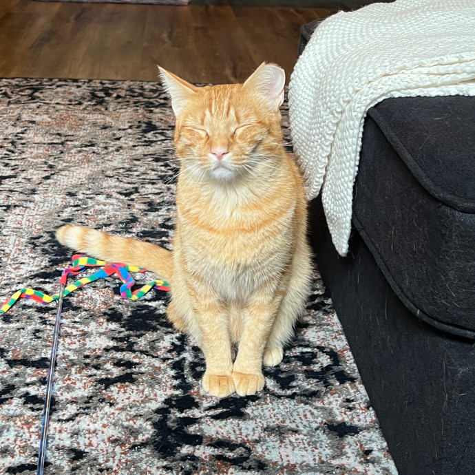 Harbor And Whisker