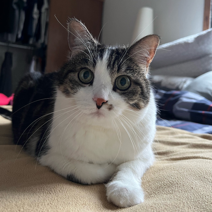 Harbor And Whisker