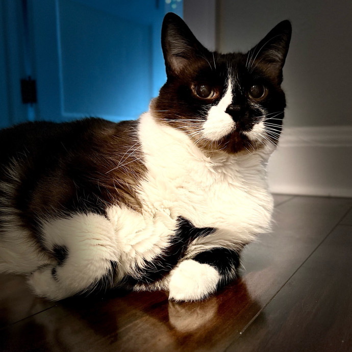 Harbor And Whisker
