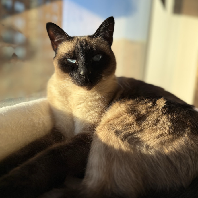 Harbor And Whisker