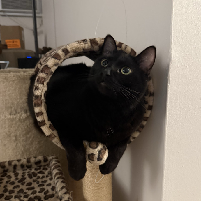 Harbor And Whisker photo 2