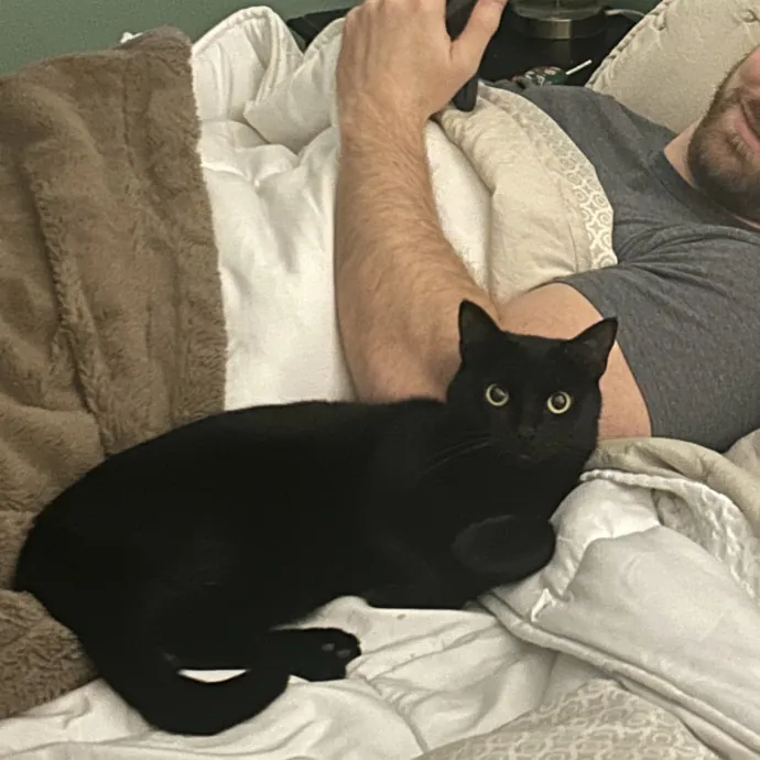 Cobb County Kitty Lover