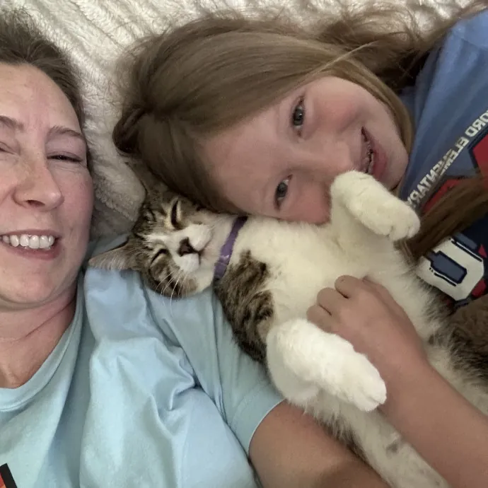 Cobb County Kitty Lover