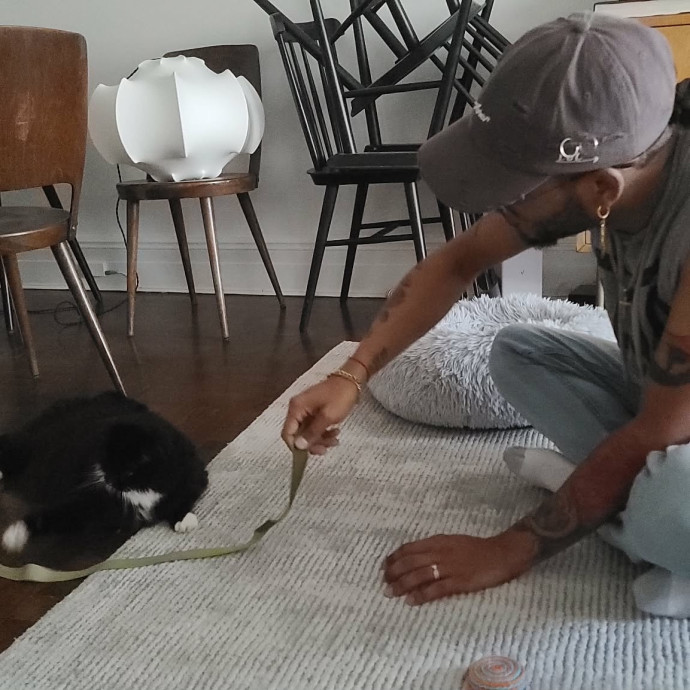 Your Friendly Neighborhood Catsitter 