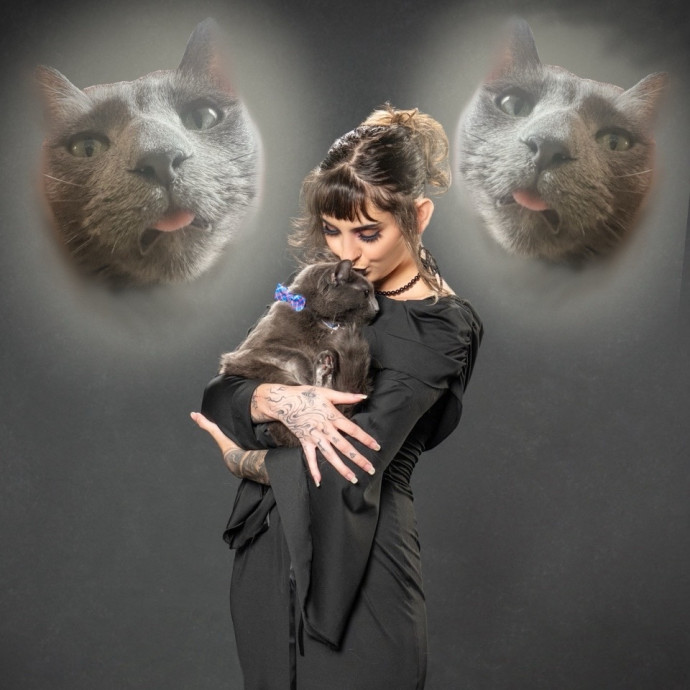 Hannah's Kitty Kare